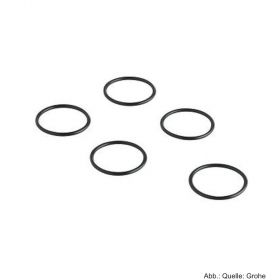 GROHE O-Ring 22x2 10 Stück, verchromt 0120500M