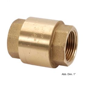 Universal-Rückschlagventil aus Messing, 2" IG