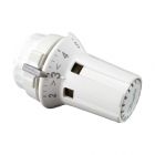 Danfoss Fühlerelemente Typ RAW begrenz-& blockierbar und eingeb. Fühler 013G5010